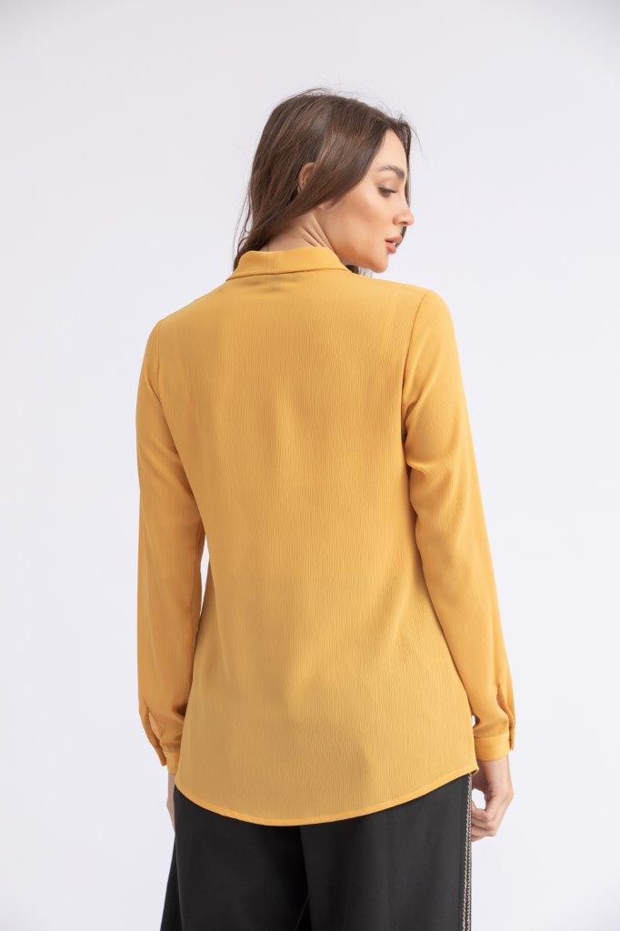 BASIC EVERYDAY SILKY CRINKELD CREPE CHIFFON BLOUSE WITH A BOW COLLAR